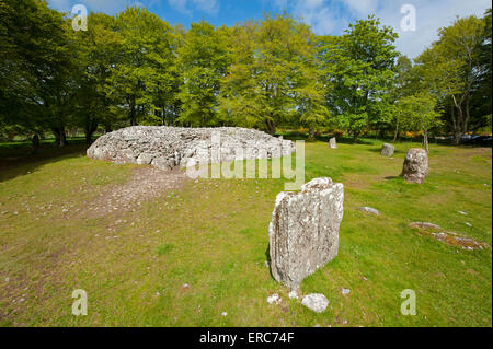 La sépulture néolithique préhistorique à l'Balnuran Clava Cairns, près de Culloden, Inverness-shire. 9832 SCO Banque D'Images