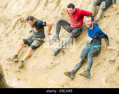 Fun au Midlands Tough Mudder événement , Boughton House, Kettering, 31 mai 2015. Banque D'Images