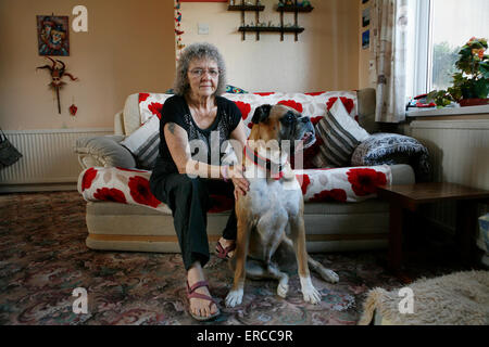 Pip qui favorise les chiens qui ont été sans abri parce que leurs propriétaires ont dû passer à un refuge en raison de la violence familiale. Banque D'Images