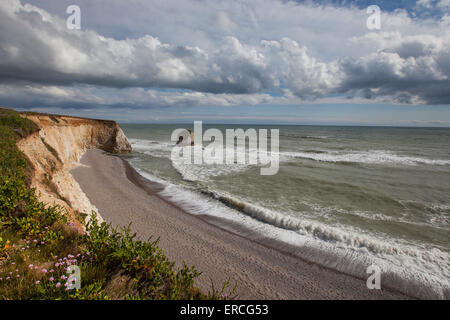 Côtes déchirées à la baie d'eau douce et des falaises sur l'île de Wight UK Banque D'Images