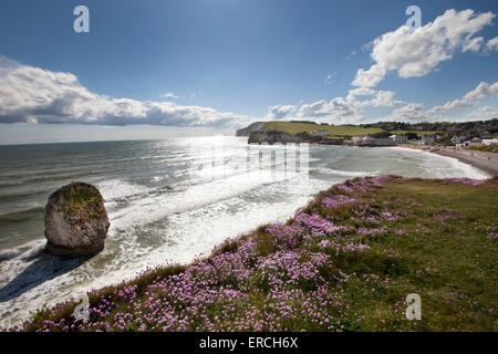 Côtes déchirées à la baie d'eau douce et des falaises sur l'île de Wight UK Banque D'Images