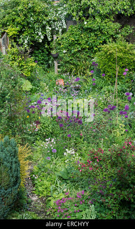 Petite ville anglaise en terrasses jardin urbain en pleine floraison. UK Banque D'Images