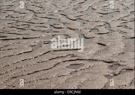 Piscines sinueuses et les flaques d'eau laissées dans la vase et la boue dans l'estuaire de la Tamise à Erith à marée basse Banque D'Images