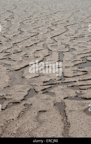 Piscines sinueuses et les flaques d'eau laissées dans la vase et la boue dans l'estuaire de la Tamise à Erith à marée basse Banque D'Images