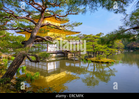 Kyoto, Japon au Temple du pavillon d'or. Banque D'Images