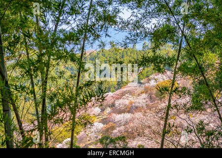 Yoshinoyama, Nara, Japon, Paysage de printemps. Banque D'Images