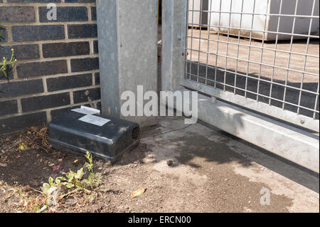 La vermine ou rongeur rat trap placé sur la paroi latérale en rat local exécuter itinéraire en zone industrielle de grands jetés les déchets alimentaires périssables Banque D'Images