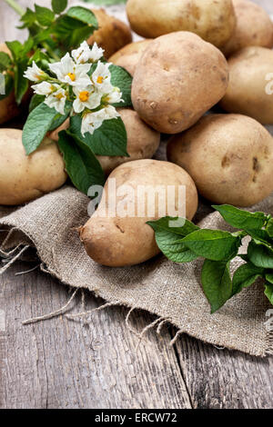 Pomme de terre avec des feuilles et des fleurs sur un fond de bois dans un style rustique, les pommes de la récolte. Banque D'Images