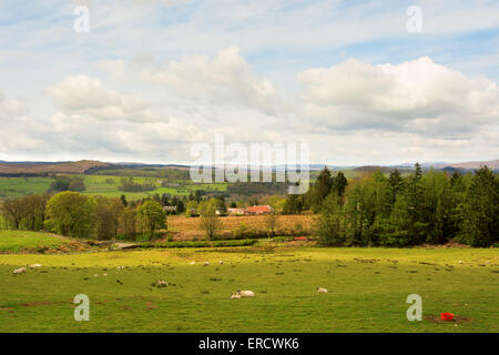 Les terres agricoles à des bâtiments de ferme, champ de pâturage et des brebis en Scottish Highland Banque D'Images