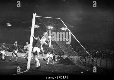 Coventry 4-1 Crewe, FA Cup 4ème tour match à rejouer Highfield Road, le 14 février 1966. Coventry prendre une chance en tête après 5 minutes en tant que gardien Crewe Willie Mailey pousse Dave Clement's Corner dans son propre filet. Banque D'Images