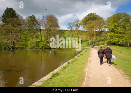 La cour à bois Lyme Park à Disley, Cheshire. Banque D'Images