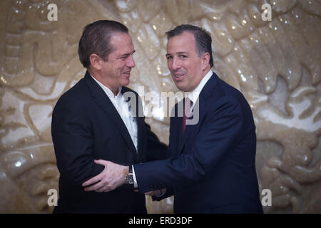 La ville de Mexico, Mexique. 1er juin 2015. Le secrétaire mexicain des affaires étrangères José Antonio Meade (R), serre la main avec le chancelier équatorien Ricardo Patino Aroca pendant leur réunion au siège du Secrétariat des affaires étrangères dans la ville de Mexico, capitale du Mexique, le 1 juin 2015. © Pedro Mera/Xinhua/Alamy Live News Banque D'Images