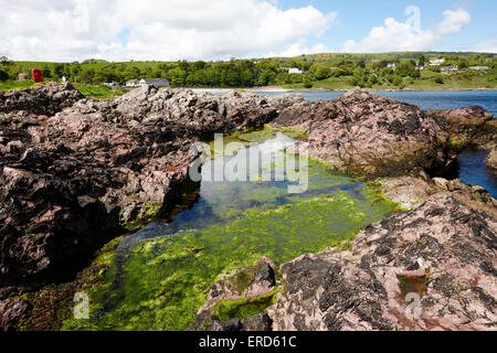 Grande piscine dans la roche dacite rose des pierres à Limerick Cushendall point le comté d'Antrim en Irlande du Nord UK Banque D'Images