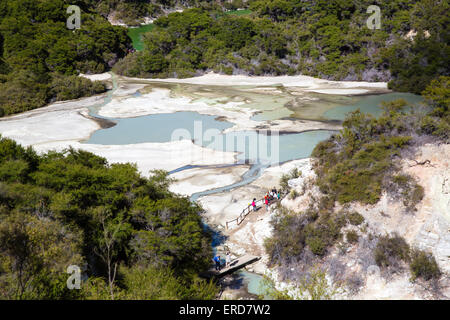 Lacs et cours d'eau de Wai O Tapu Wonderland thermique près de Rotorua en Nouvelle Zélande du nord de l'île centrale Banque D'Images