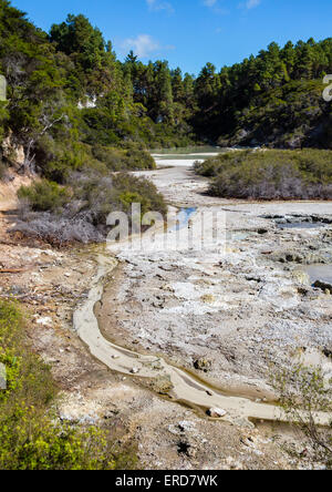 Volcaniques chaudes et piscines du travertin Wai O Tapu Wonderland thermique dans le centre de l'Île du Nord Nouvelle-zélande Banque D'Images