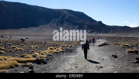 Les promeneurs traversant un cratère sur le Tongariro Alpine Crossing en Île du Nord Nouvelle-zélande Banque D'Images