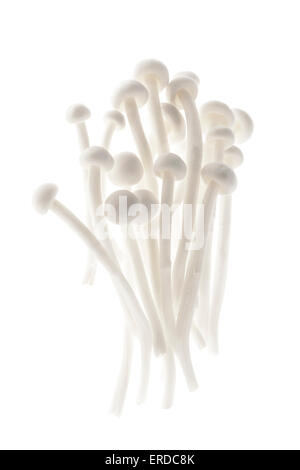 Plusieurs champignons enoki isolé sur fond blanc Banque D'Images