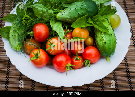 Des légumes frais et des herbes cueillies dans le jardin de bol, Close up Banque D'Images