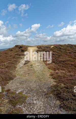 Âge du Bronze Barrow, Headon Warren, Totland, île de Wight, Angleterre Banque D'Images