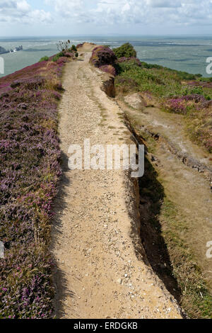 Vue de Needles Alum Bay, depuis Headon Warren Totland, île de Wight, Angleterre, Royaume-Uni, GB. Banque D'Images