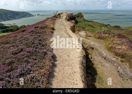 Vue sur les aiguilles de l'Alun Bay, de Headon Warren Totland, île de Wight, Angleterre Banque D'Images