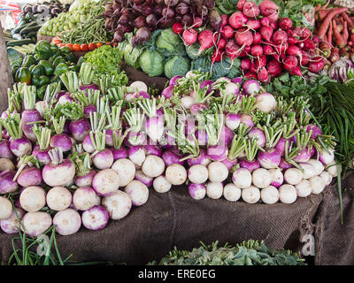 Des légumes frais pour la vente au marché intérieur Banque D'Images