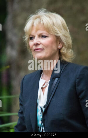 Londres, Royaume-Uni. 2 juin, 2015. Anna Soubry, Ministre de la petite entreprise, de l'industrie et de l'entreprise arrive au 10 Downing Street pour assister à la réunion hebdomadaire du Cabinet. Crédit : Paul Davey/Alamy Live News Banque D'Images