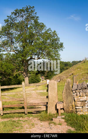 Royaume-uni, Angleterre, Staffordshire, Ilam, pierre étroites stile sur chemin à travers champs ci-dessous Bunster Hill à Dovedale Banque D'Images