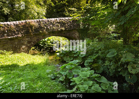 Royaume-uni, Angleterre, Staffordshire, Dovedale, Viators packhorse vieux pont sur la rivière Dove Banque D'Images