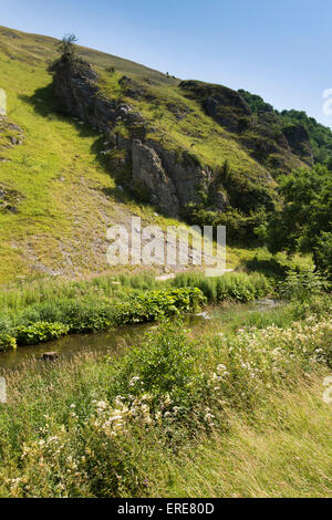 Royaume-uni, Angleterre, Staffordshire, Dovedale, rivière Dove découlant ci-dessous éperon rocheux sur Baley Hill Banque D'Images