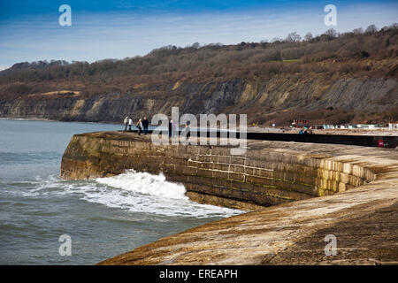 Le brise-lames connu sous le nom de Cobb à Lyme Regis sur la côte jurassique, Dorset, England, UK Banque D'Images