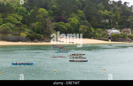 Pilote de course de bateaux Cornish Gig d'aviron à Salcombe Devon le dimanche 31 mai 2015 Banque D'Images