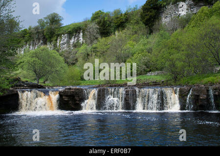 Wainwath Falls sur la rivière Swale, près de Keld, Swaledale au début de l'été, North Yorkshire, UK. Banque D'Images