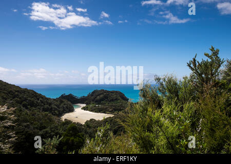 Donnant sur une crique sur la baie Frenchman à partir de l'Abel Tasman coastal track, en Nouvelle-Zélande. Banque D'Images