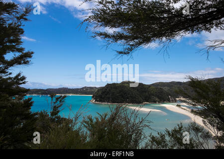 Surplombant la baie de Torrent l'Abel Tasman coastal track, en Nouvelle-Zélande. Banque D'Images