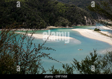 Surplombant la baie de Torrent l'Abel Tasman coastal track, en Nouvelle-Zélande. Banque D'Images