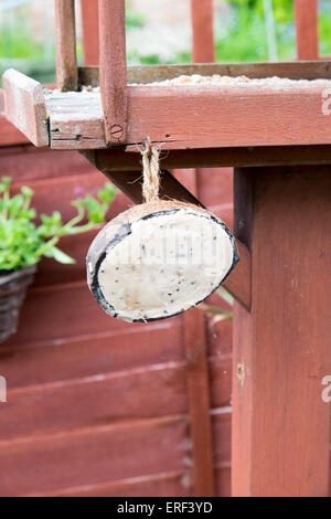 Coque de noix de coco remplie de graisse et de graines pour oiseaux sauvages à manger, suspendu à nourrir les oiseaux en table jardin UK Banque D'Images