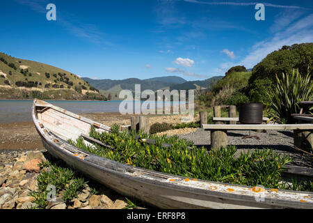 Vieux bateau en bois commence une nouvelle vie comme une plante en pot dans un jardin côtières sur le câble Bay, Nouvelle-Zélande. Banque D'Images