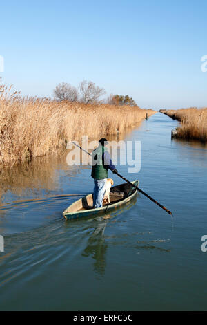 La chasse sur l'étang du Scamandre à Gallician, petite Camargue, Languedoc Roussillon, France Banque D'Images