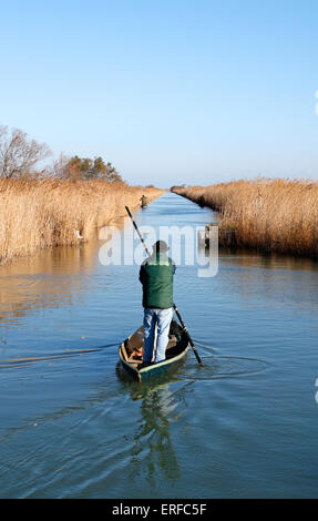 La chasse sur l'étang du Scamandre à Gallician, petite Camargue, Languedoc Roussillon, France Banque D'Images