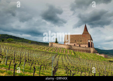 Après-midi de printemps orageux à Hunawihr, Alsace, France. Banque D'Images