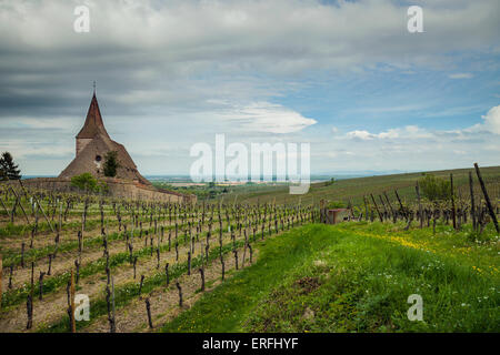 Après-midi de printemps orageux à Hunawihr, Alsace, France. Banque D'Images