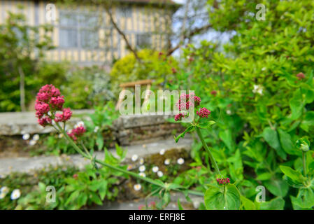 Great Dixter House et jardins. Rye, Rye. East Sussex. L'Angleterre. UK Banque D'Images