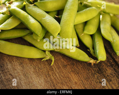 Pois mange-tout fraîchement cueillis sur un cadre rustique. Grungy style. 2 juin, 2015. © Igor Golovniov/ZUMA/ZUMAPRESS.com/Alamy fil Live News Banque D'Images