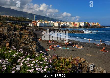 Playa Jardin. Puerto de la Cruz. Tenerife. Îles Canaries. Espagne Banque D'Images