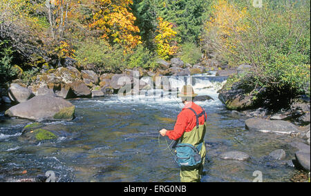 Un pêcheur de mouche jette pour la truite dans le tablier de la rivière Willamette dans les montagnes Cascade de centre de l'oregon Banque D'Images