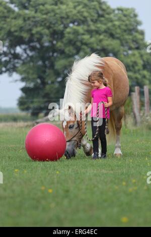 Fille avec cheval haflinger Banque D'Images