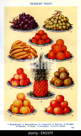 Mme Beeton, livre de cuisine - dessert fruits (de 1 à 10) : le raisin noir, raisins Muscat, mandarines, bananes, oranges, pêches, Banque D'Images