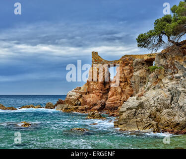 Beaux rochers de la Costa Brava avec des pins et ciel nuageux Banque D'Images