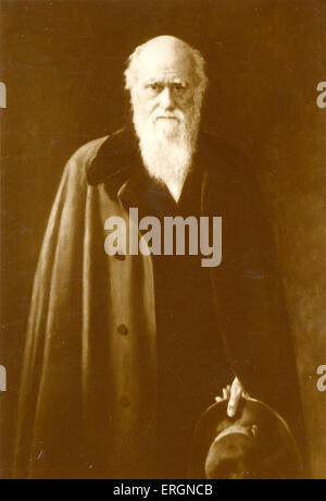 Darwin, Charles Robert - naturaliste anglais, l'auteur (avec Alfred Wallace) de la théorie de l'évolution par des Banque D'Images